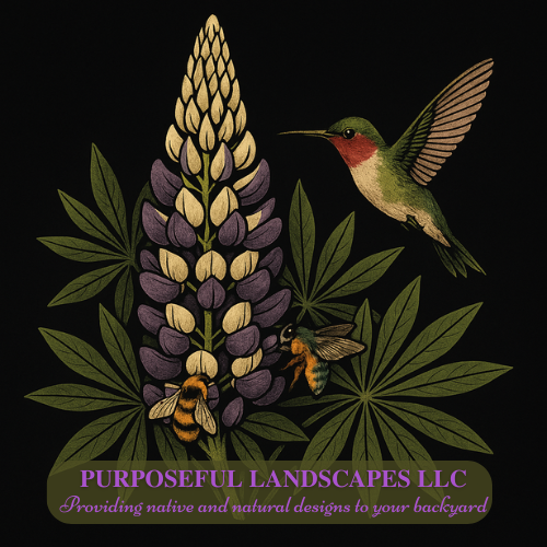 Purposeful Landscapes